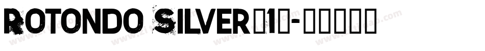 Rotondo Silver(1)字体转换